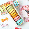 5 PCS/Lot Novelty Macaron Rubber Eraser Creative Kawaii Stationery School Supplies Papelaria Gift For Kids